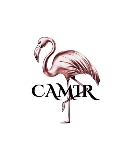 CAMIR