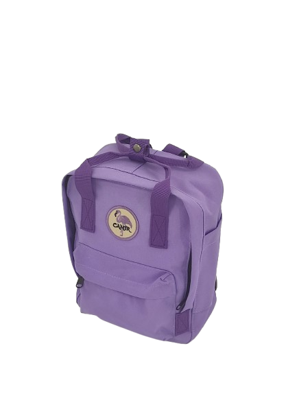 img 20251021 195718 removebg preview